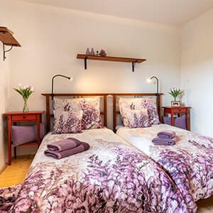 Deluxe pokoj Lilac